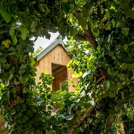 Villa Urunuela, Un Jardin Entre Vinedos En La Rioja Extérieur photo