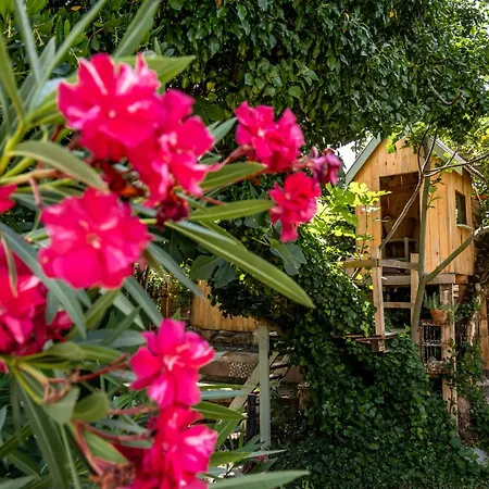 Villa Urunuela, Un Jardin Entre Vinedos En La Rioja Extérieur photo
