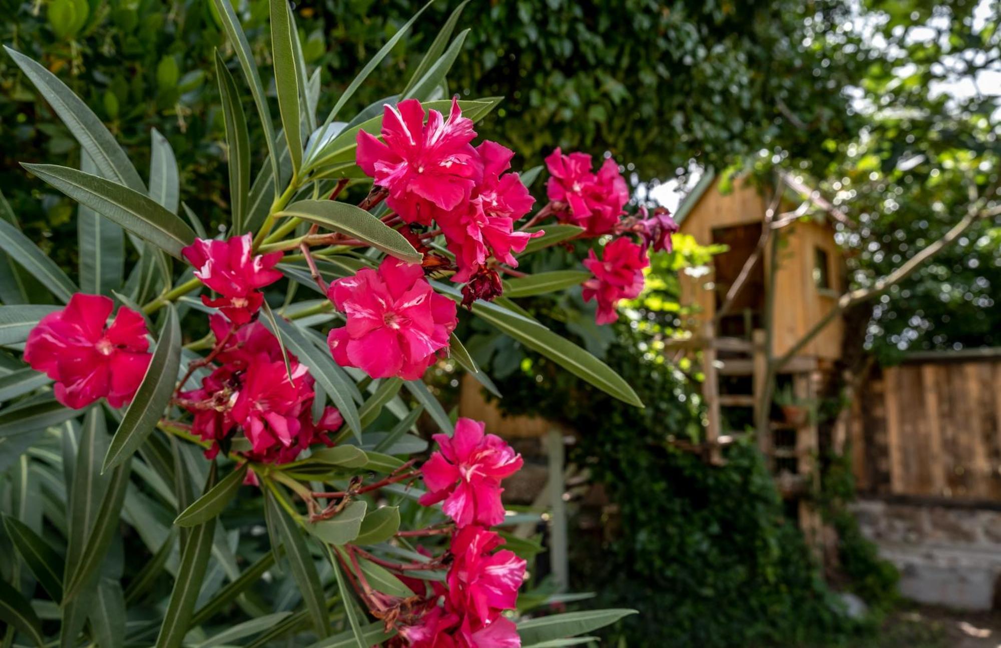 Urunuela, Un Jardin Entre Vinedos En La Rioja Hébergement de vacances
