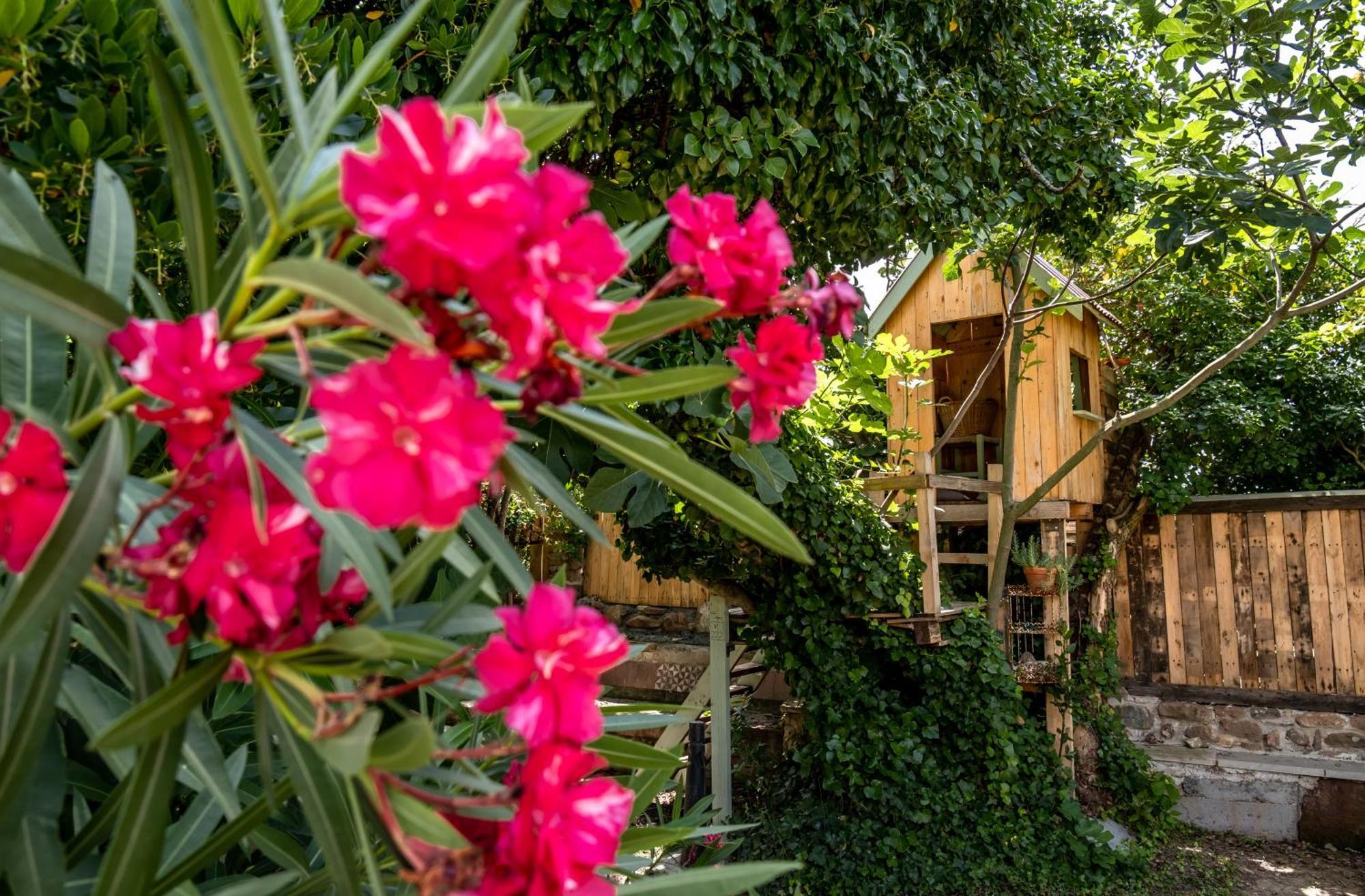 Urunuela, Un Jardin Entre Vinedos En La Rioja