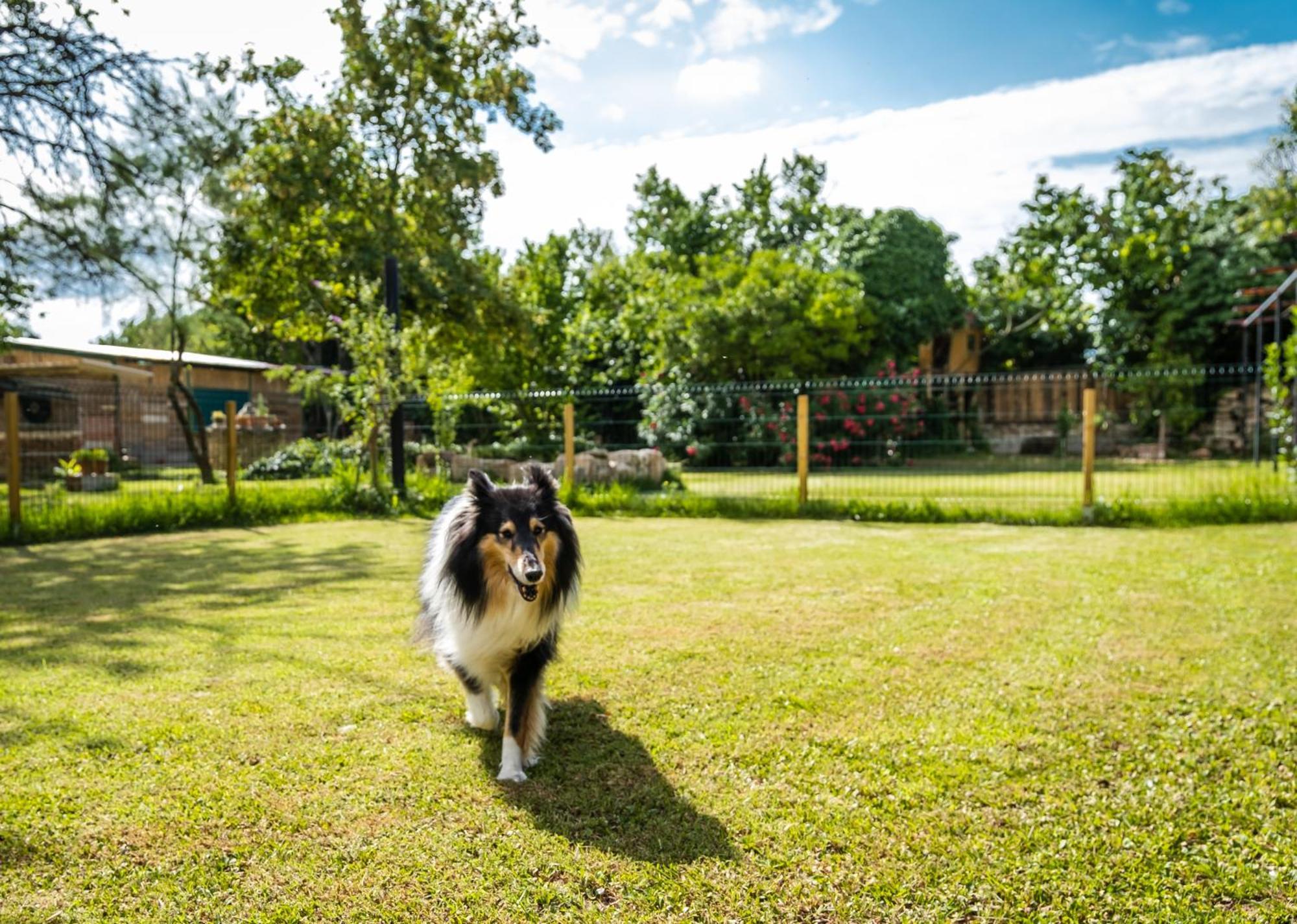 Urunuela, Un Jardin Entre Vinedos En La Rioja * Urunuela